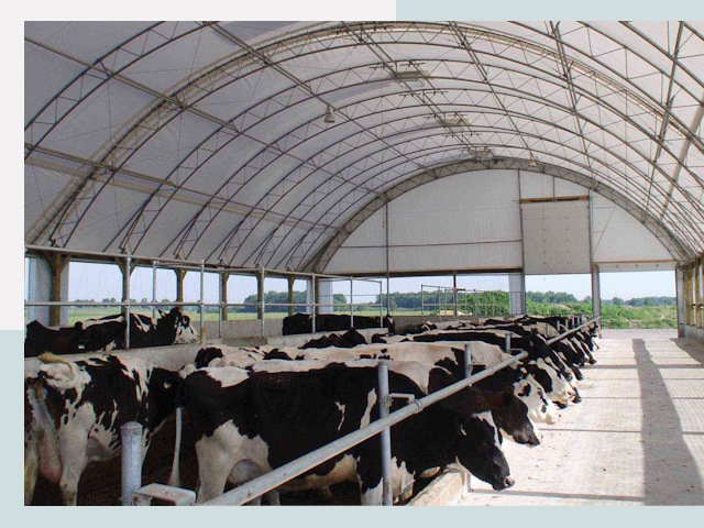 Тентовые коровники в Чебаркуле